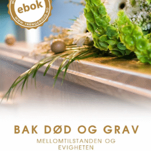 Bak død og grav - Av T. B. Barratt
